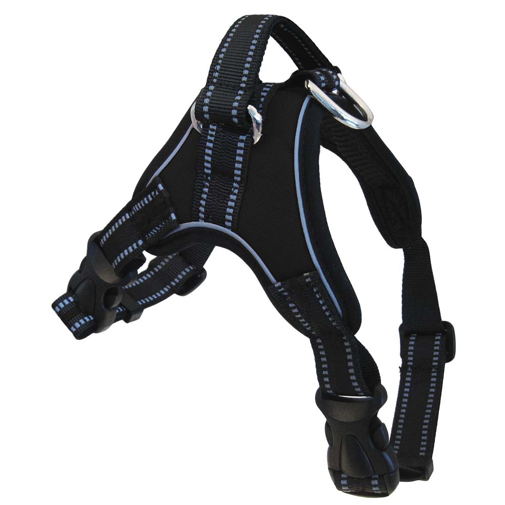 Personalized Sport Harness for Dogs, - Lucky Pet
